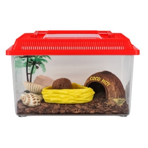 Medium Complete hermit crab Kit