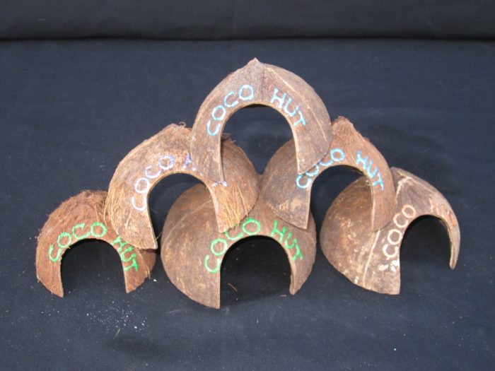 Natural Hermit Crab Coco Huts