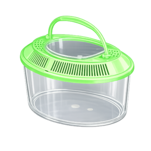 oval medium terrarium with green lid