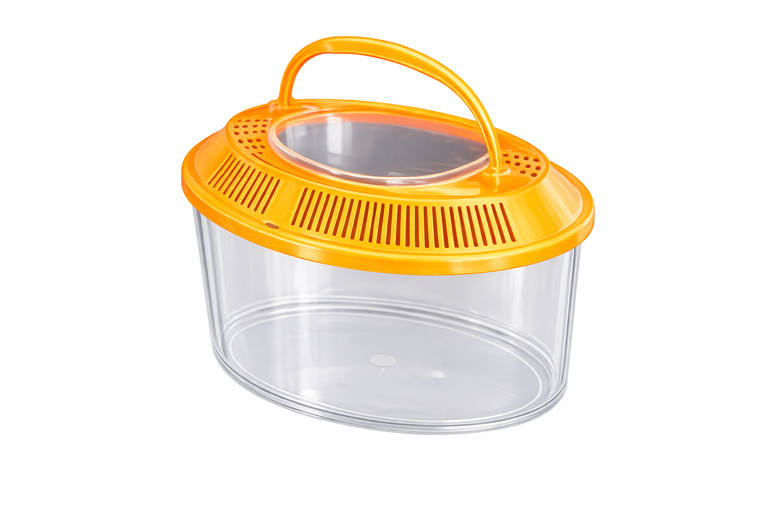 Oval plastic terrarium, medium