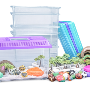 Medium Terrarium basic kit sets