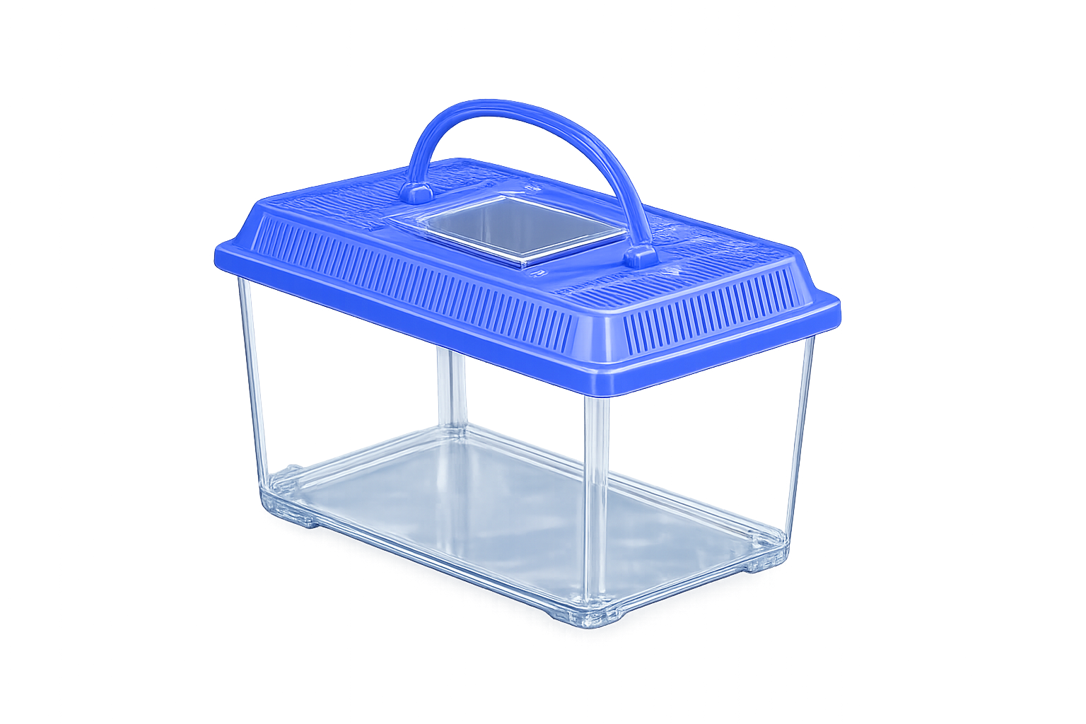 clear terrarium With Blue Vented Lid