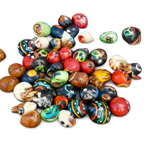 small hermit crab in colorful assorted shells