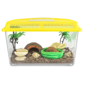 Medium terrarium Kit with yellow top