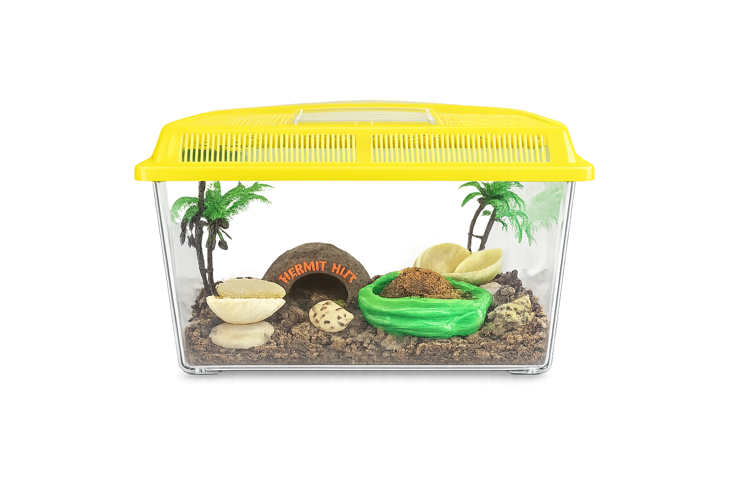 Complete hermit crab terrarium kit, medium