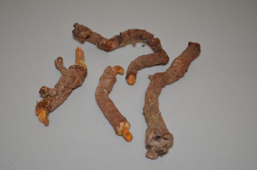 Dried Raw Turmric Roots ( Saffron)