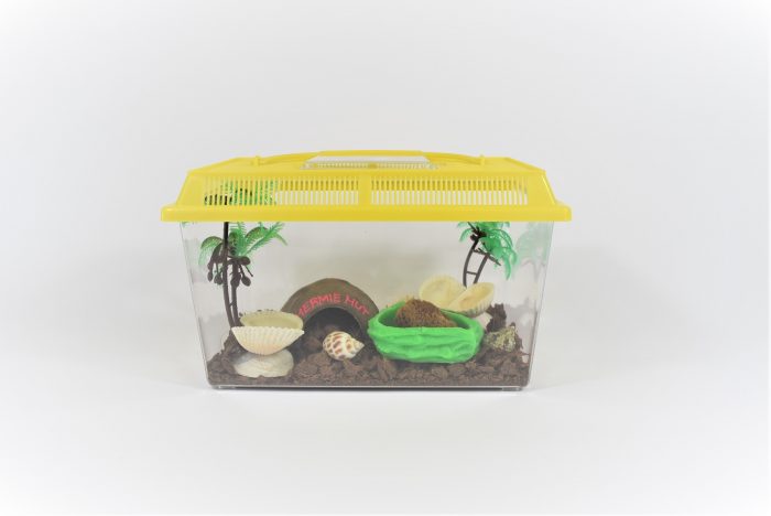 Complete hermit crab terrarium kit, medium
