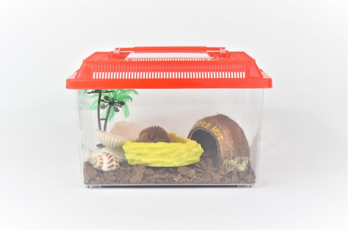 Complete Hermit crab terrarium kit, small