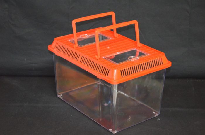 Rectangular plastic terrarium, large