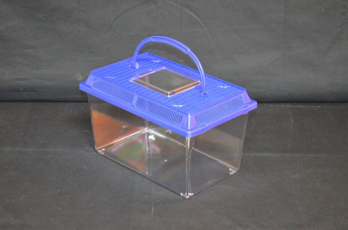 Rectangular Plastic terrarium, medium