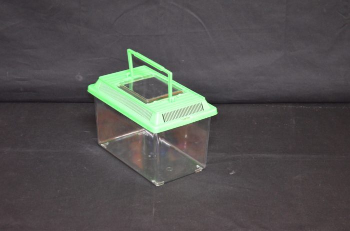 Rectangular Plastic terrarium, small