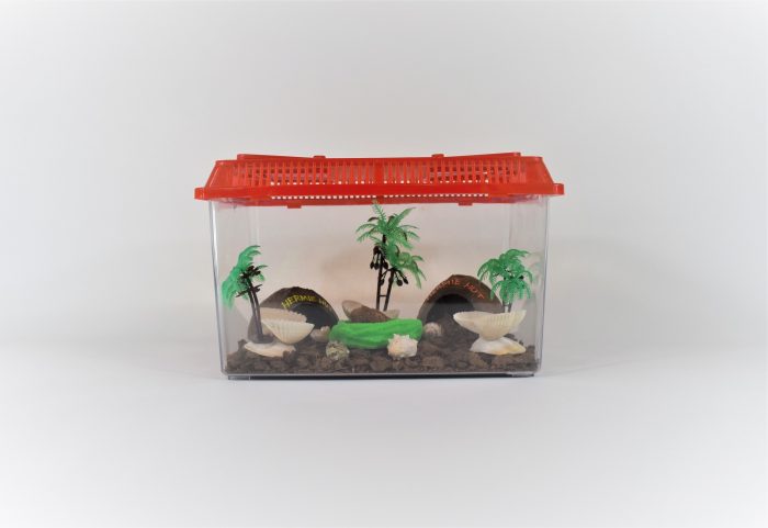 Complete hermit crab terrarium kit, large