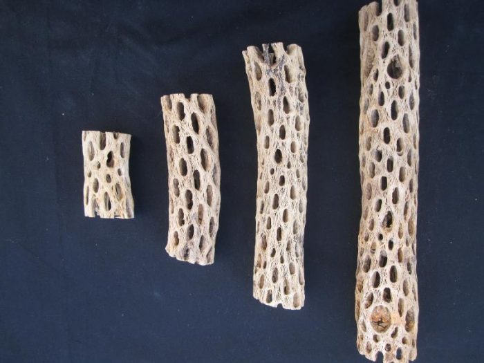 Natural Choya Wood (3″-12″)