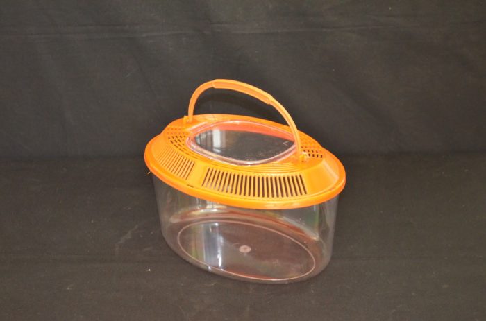 Oval plastic terrarium, medium