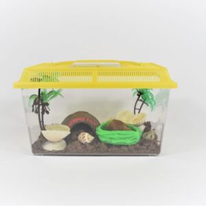 Complete hermit crab terrarium kit, medium